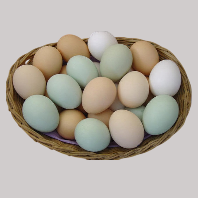 Kienyeji Chicken Eggs Per Tray in kilifi mombasa malindi watamu